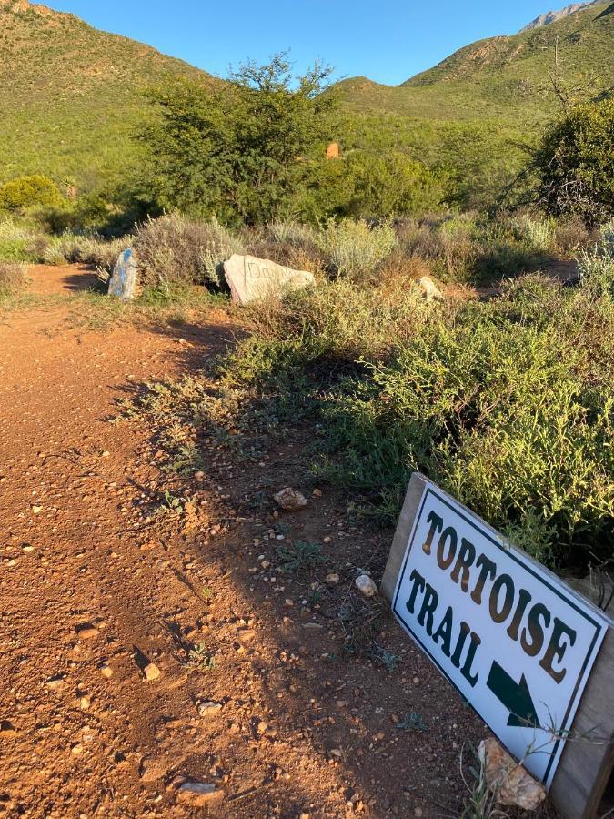The Retreat At Groenfontein Calitzdorp Exterior foto