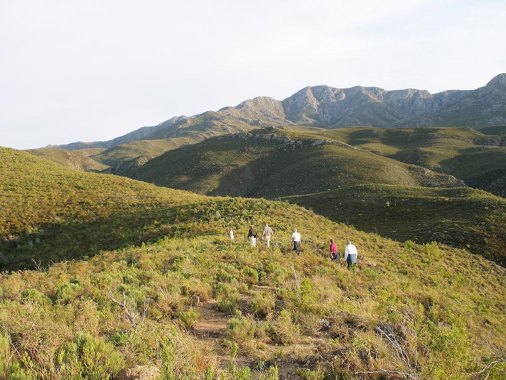 The Retreat At Groenfontein Calitzdorp Exterior foto
